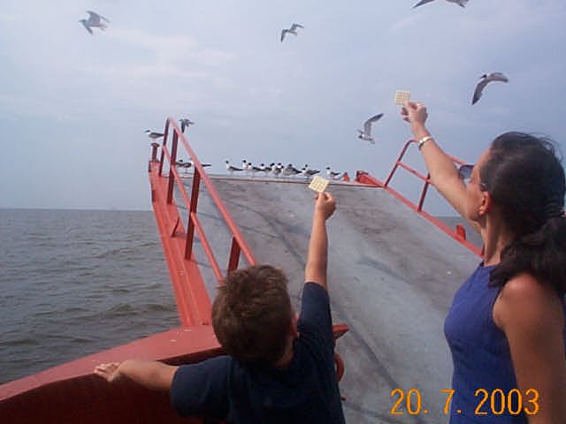 ferry.jpg