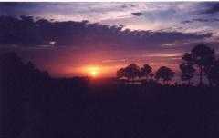 sunset.jpg